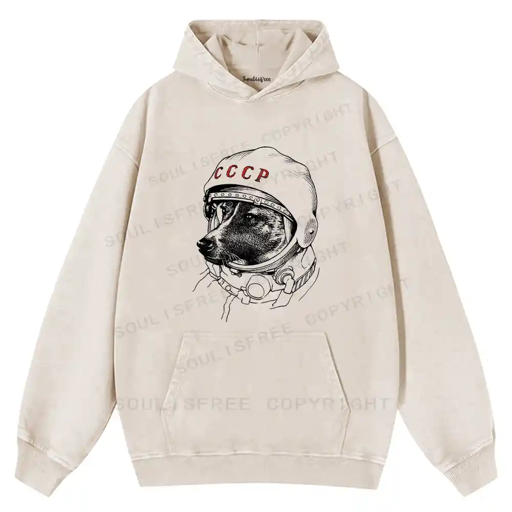 Astro Dog Washed Hoodie