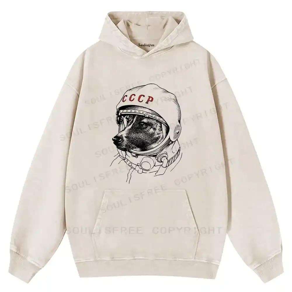 Astro Dog Washed Hoodie