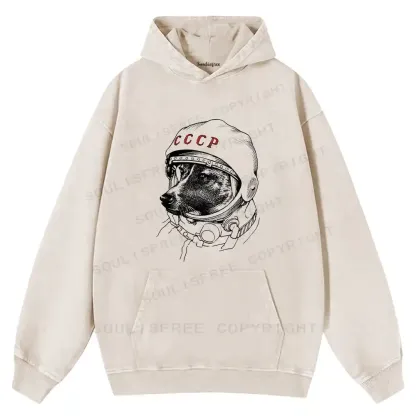 Astro Dog Washed Hoodie