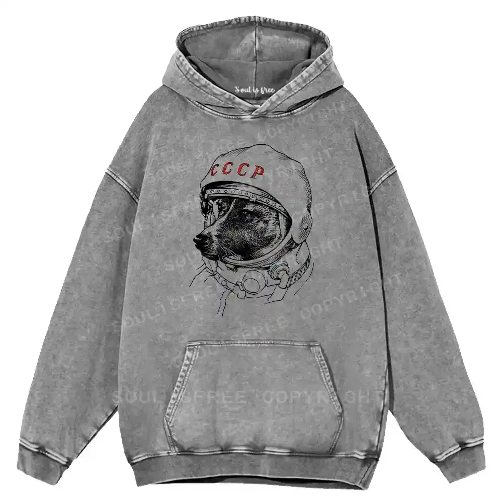Astro Dog Washed Hoodie
