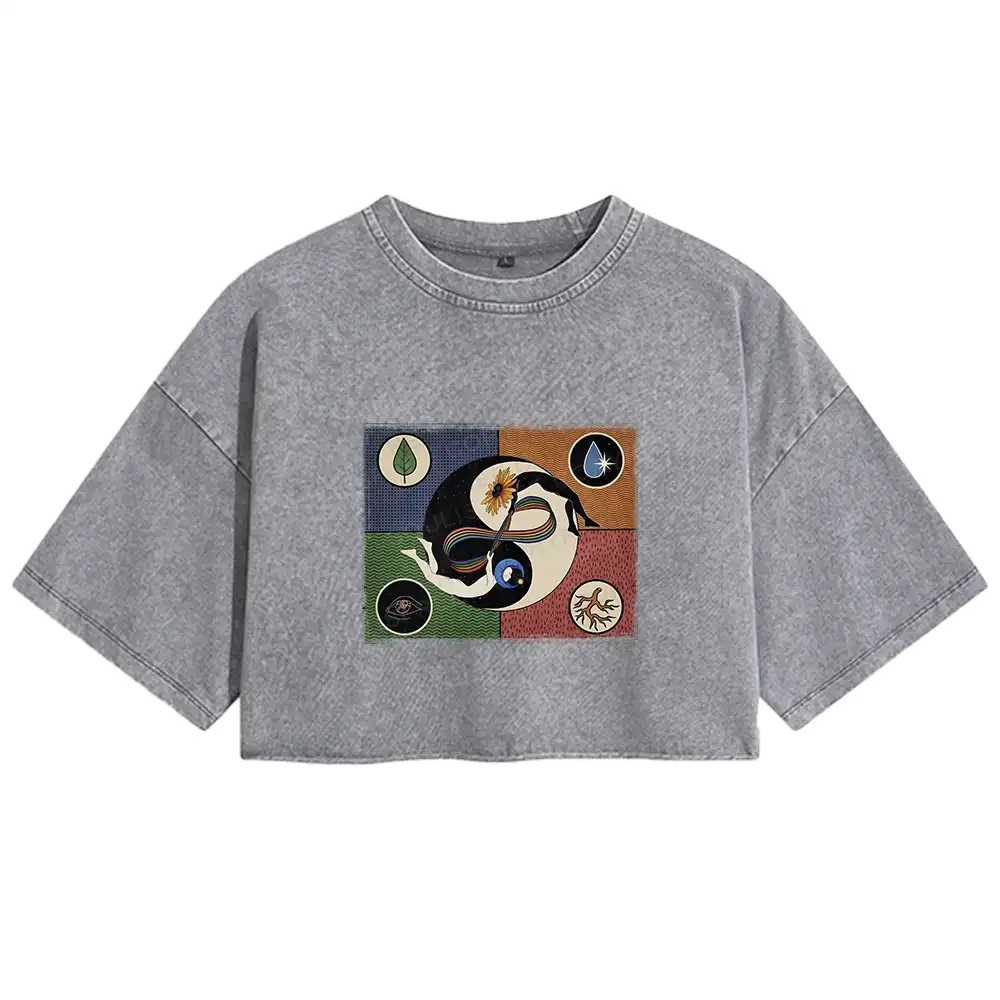 Day Or Night Washed Crop T-shirt