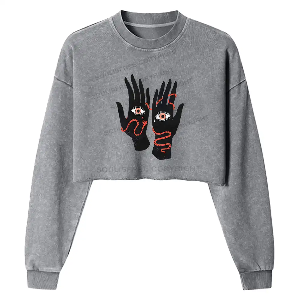 The Eyes Will Not Deceive You Washed Cropped Sweatshirt
