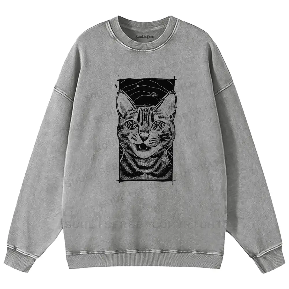 Hypnotic Cat Washed Sweatshirts