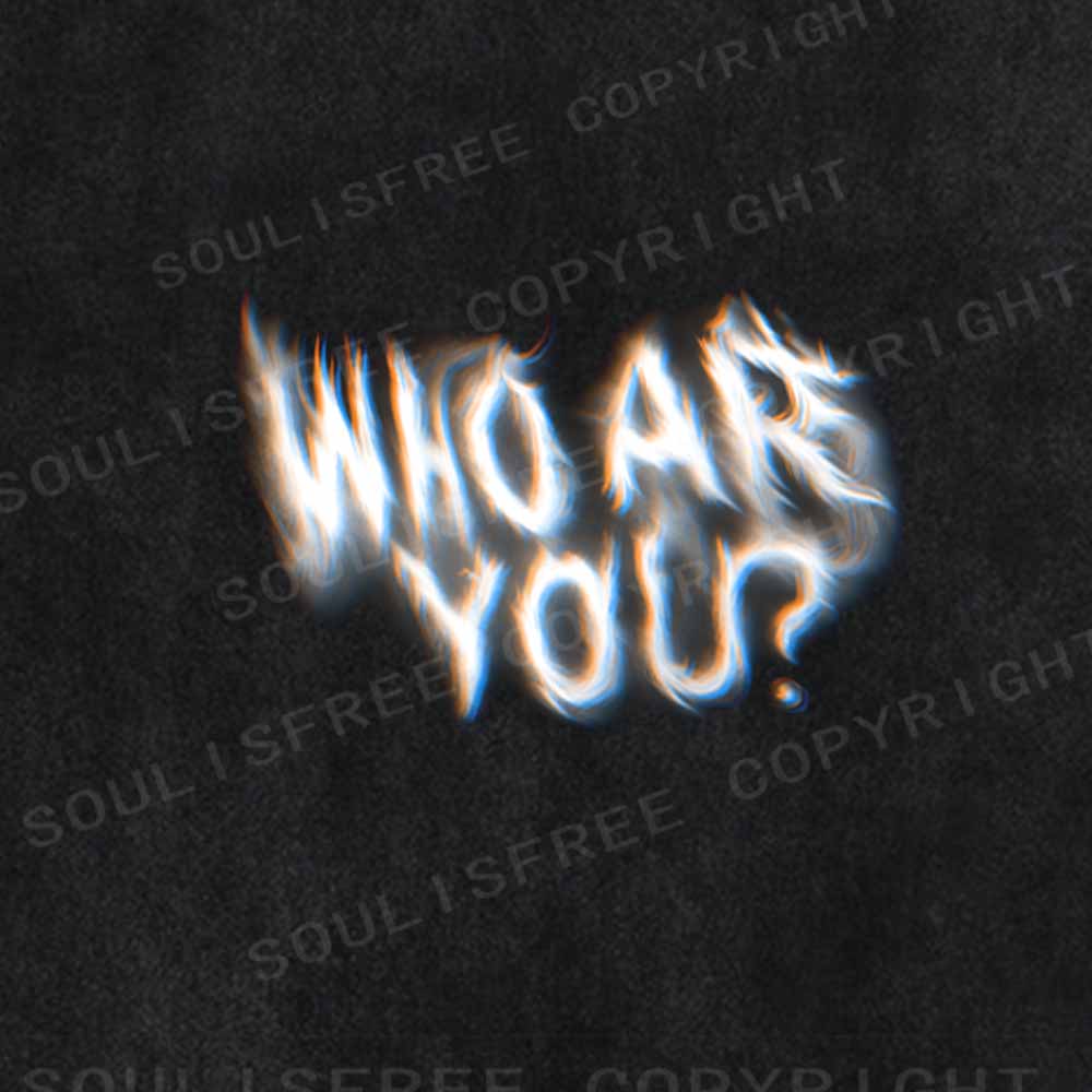 Soulisfree  WHO ARE YOUWashed Tee