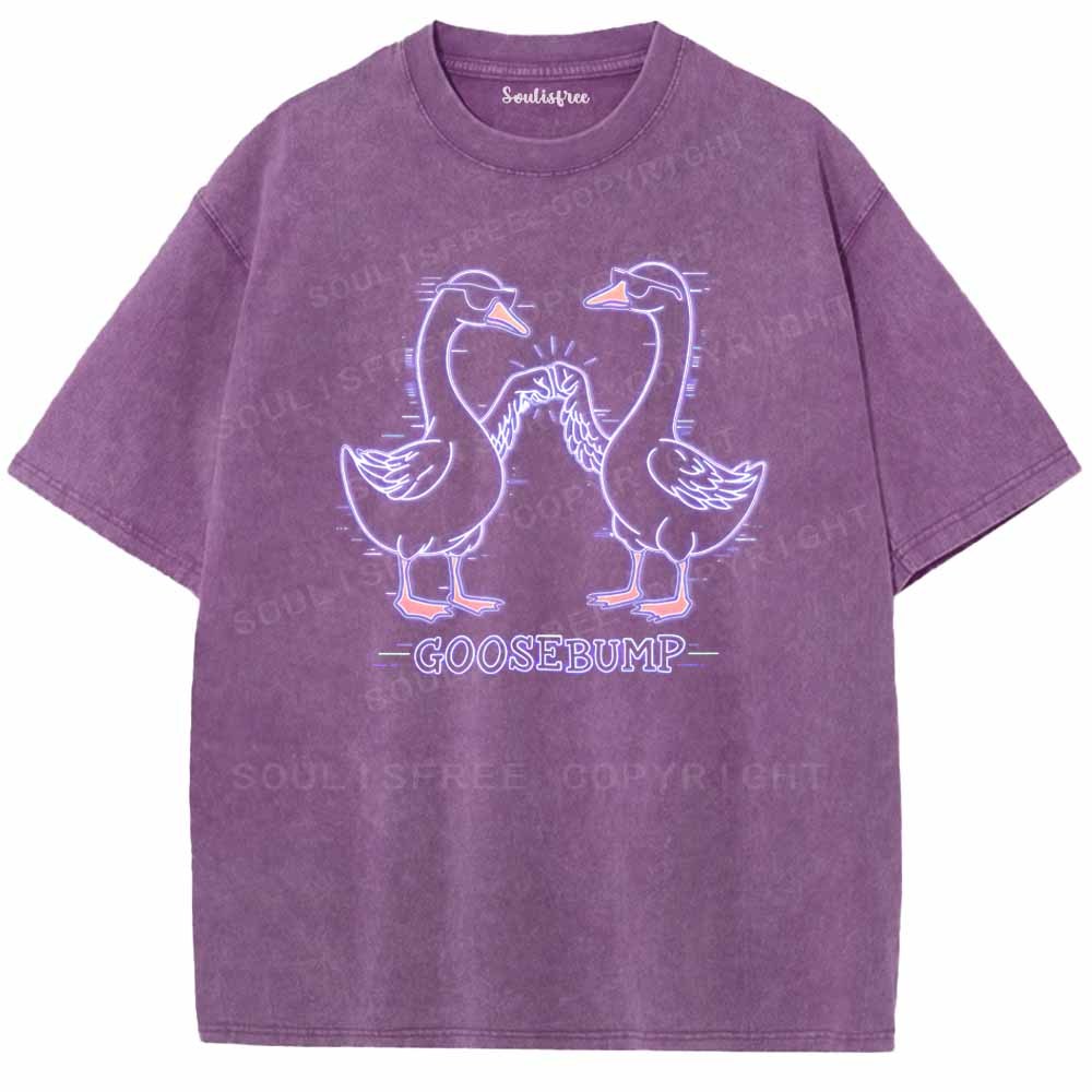 Soulisfree GOOSEBUMP Washed Tee