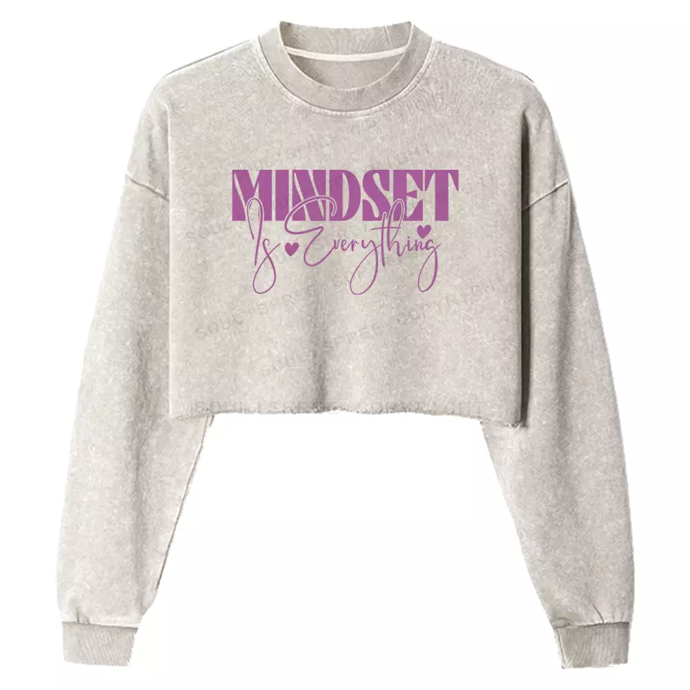 Mindset Is Everything Washed Cropped Sweatshirt
