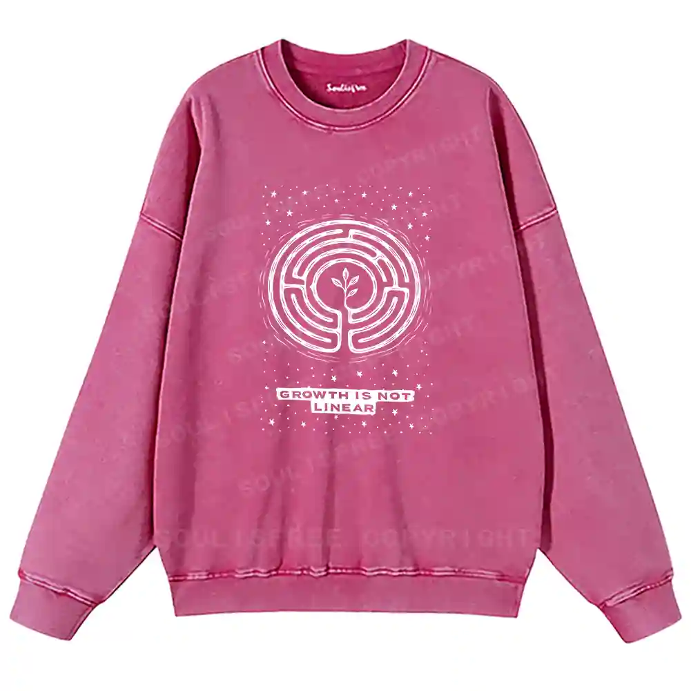 Growth Is Not Linear Washed Sweatshirts