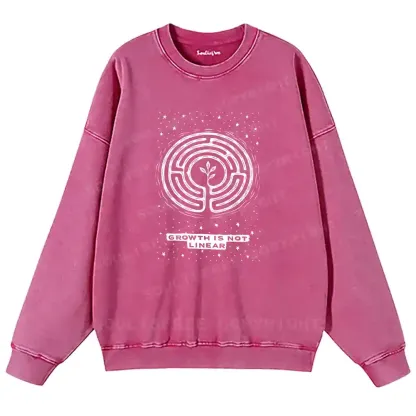 Growth Is Not Linear Washed Sweatshirts