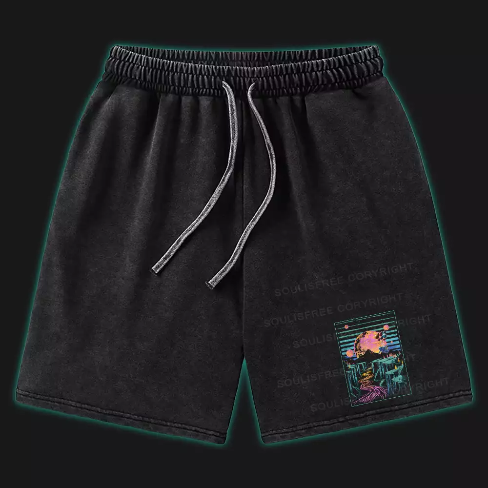 Moon And Balloon Washed Shorts