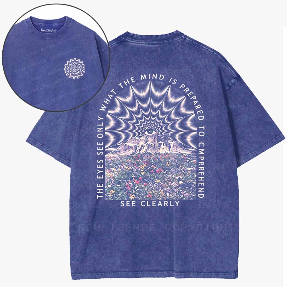 Soulisfree  Mind And Vision Washed Tee