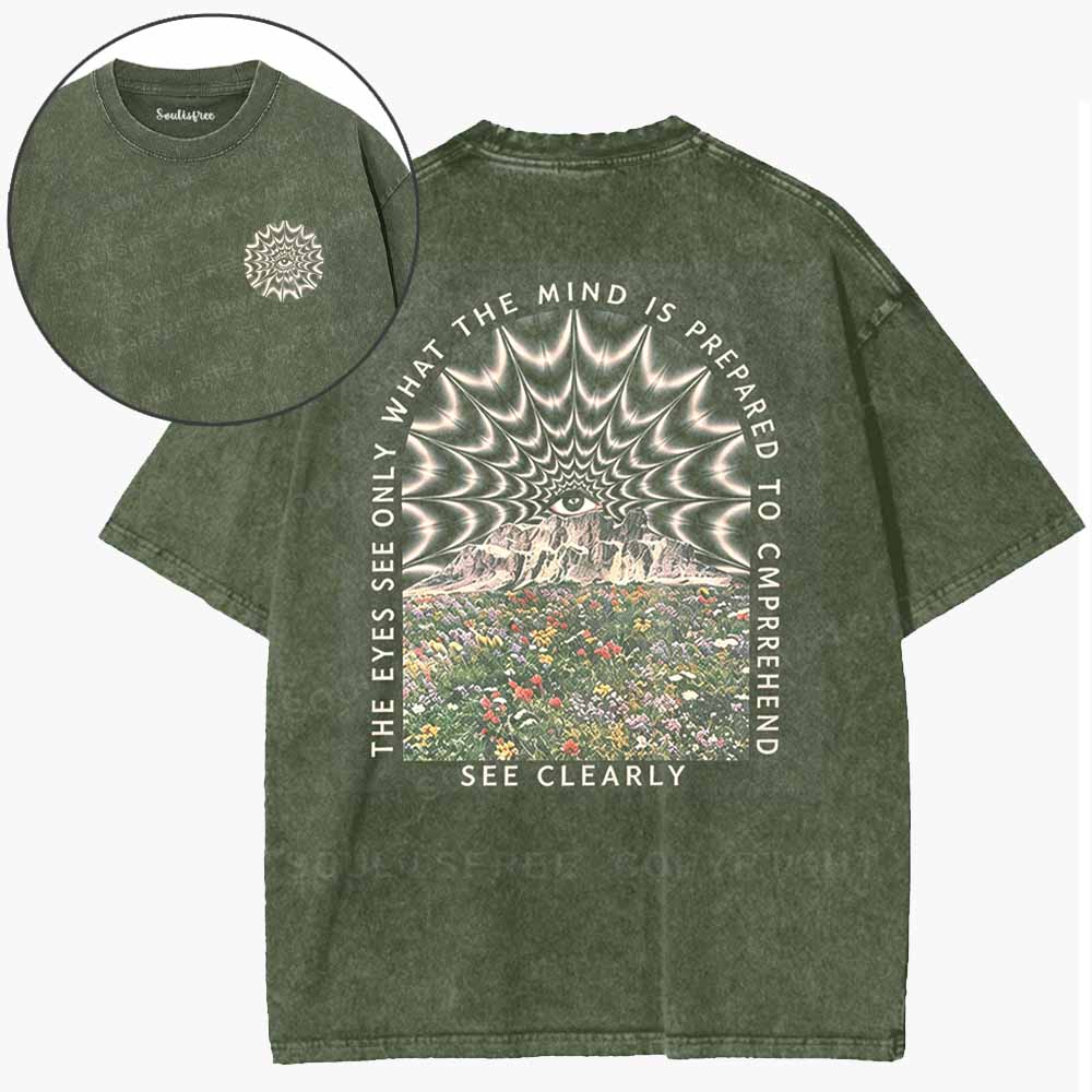 Soulisfree  Mind And Vision Washed Tee