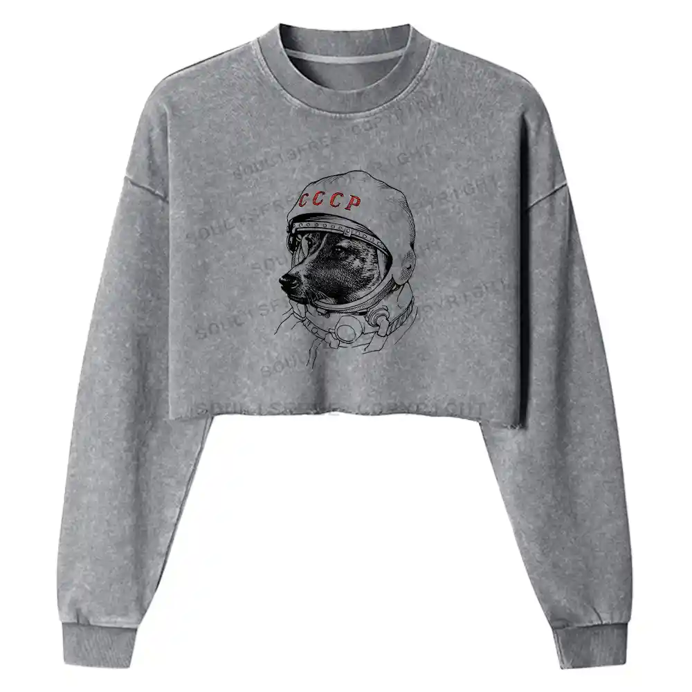 Astro Dog Washed Cropped Sweatshirt
