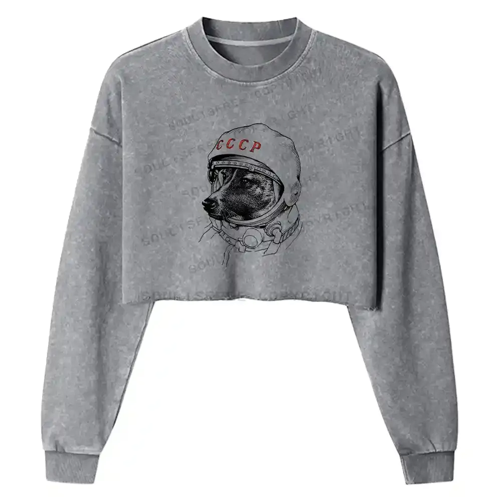 Astro Dog Washed Cropped Sweatshirt