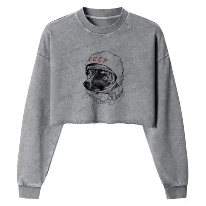 Astro Dog Washed Cropped Sweatshirt