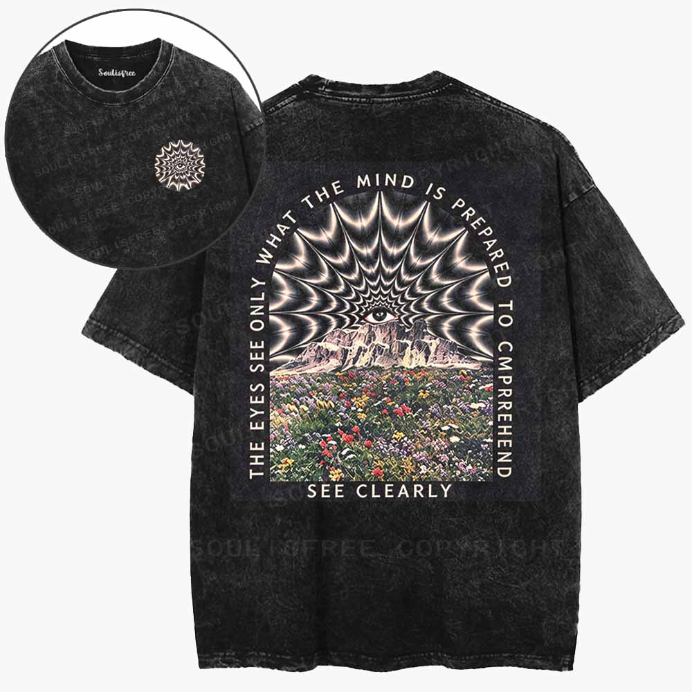 Soulisfree  Mind And Vision Washed Tee