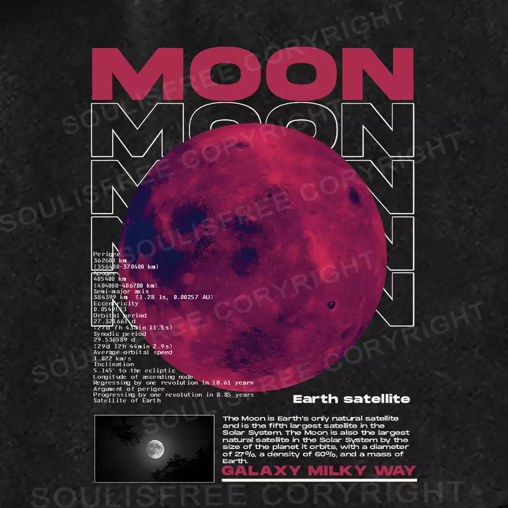 Moon Washed Shorts