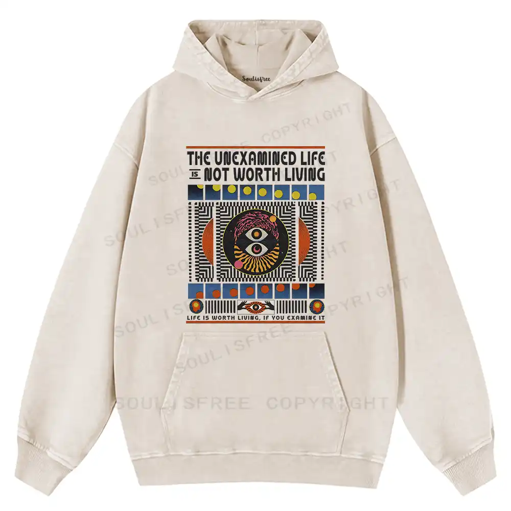 The Unexamined Life Not Worth Living Washed Hoodie