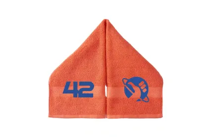 42 Embroidered Hand Towel