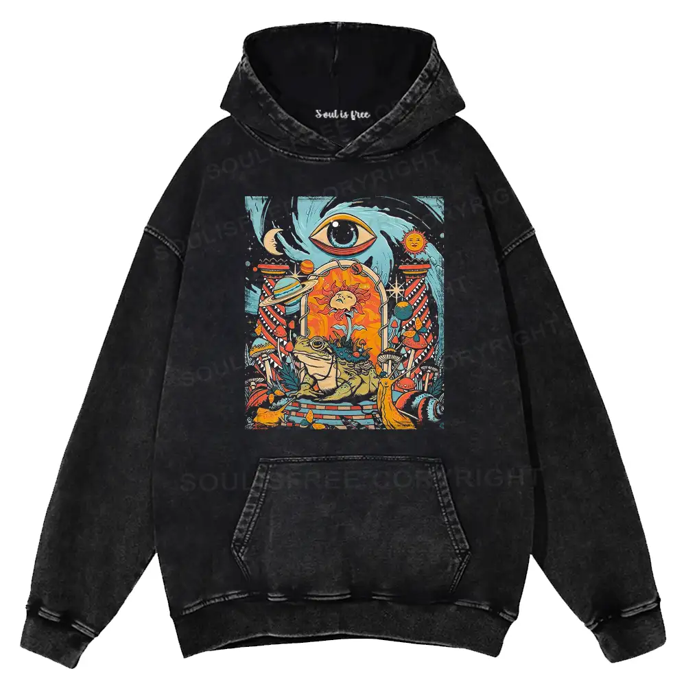 Equilibrium Washed Hoodie