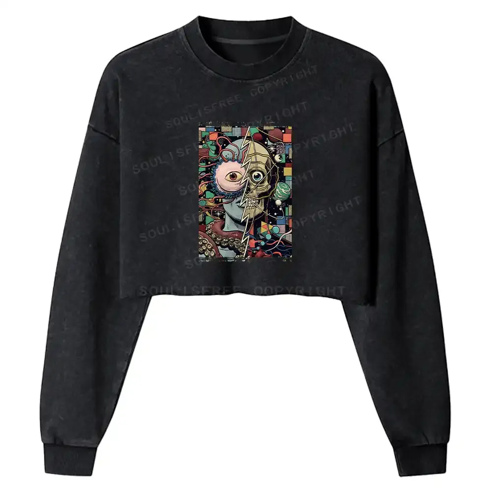 Split Washed Cropped Sweatshirt