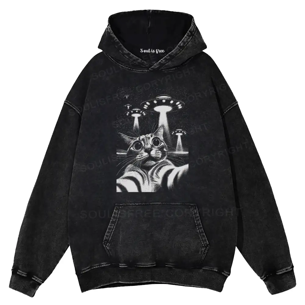 They Come For Cat Washed Hoodie