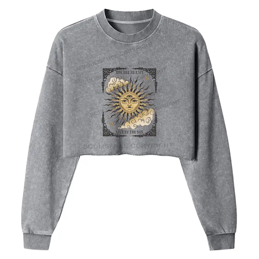 Living By The Sun Washed Cropped Sweatshirt