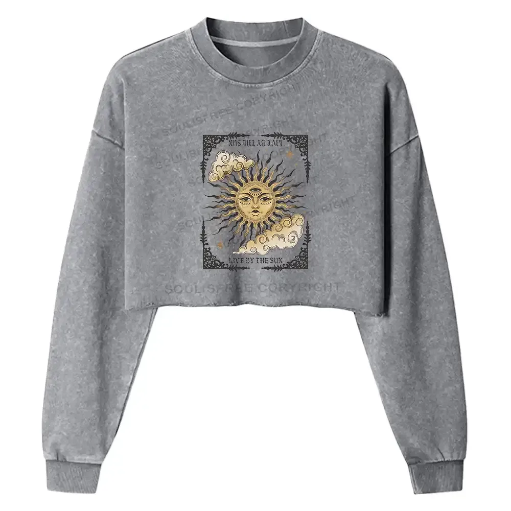 Designed Living By The Sun Washed Cropped Sweatshirt