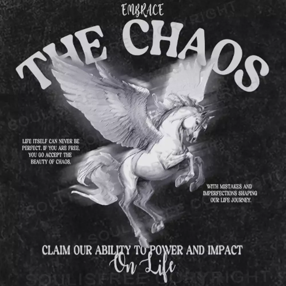 Embrace the CHAOS Washed T-shirt
