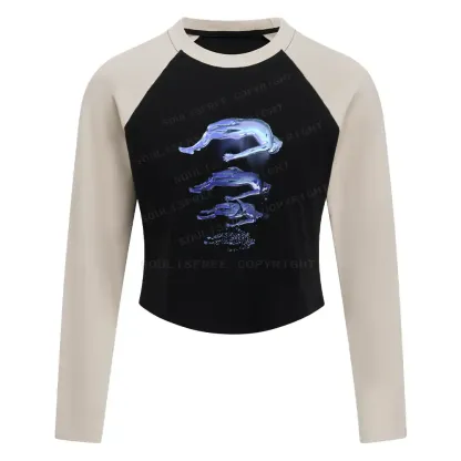 The Escape Of Consciousness Color Block Raglan Long Sleeve Crop Top