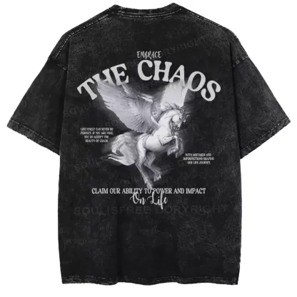Embrace the CHAOS Washed T-shirt