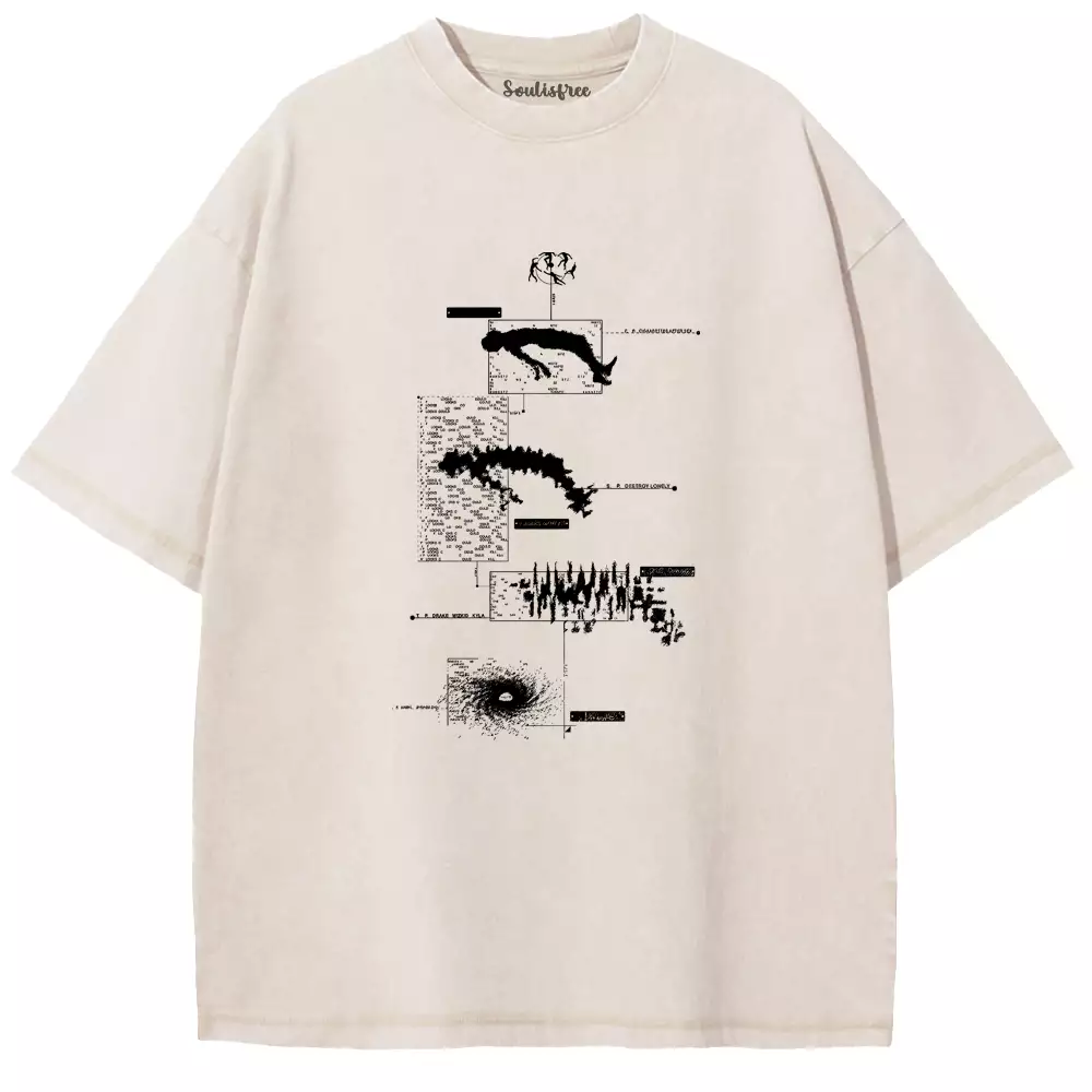 Evolving Beyond Limits Washed T-shirt