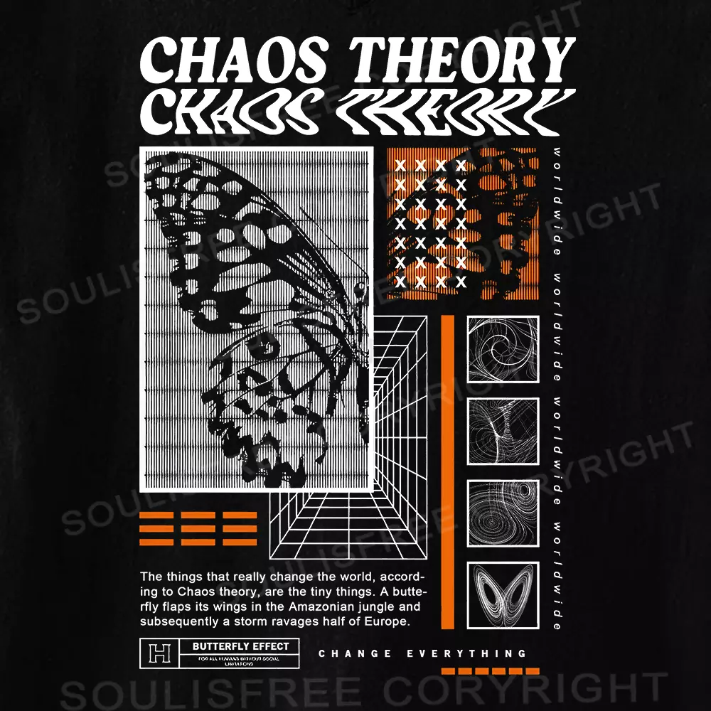 Chaos Theory Ⅴ