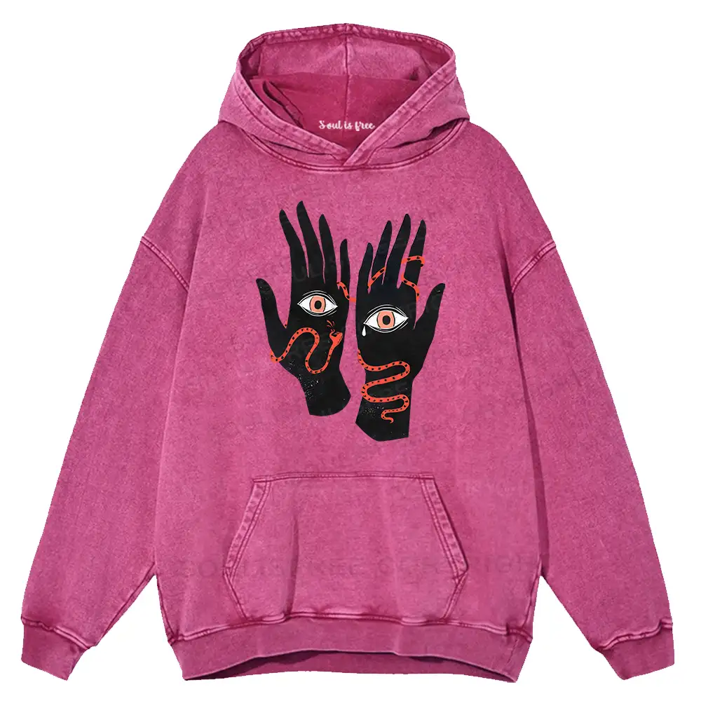 The Eyes Will Not Deceive You Washed Hoodie