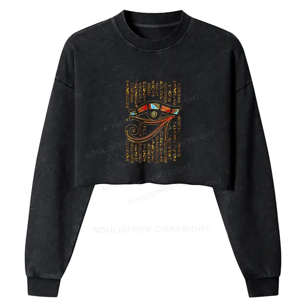 Designed Eye Of Horus Washed Cropped Sweatshirt