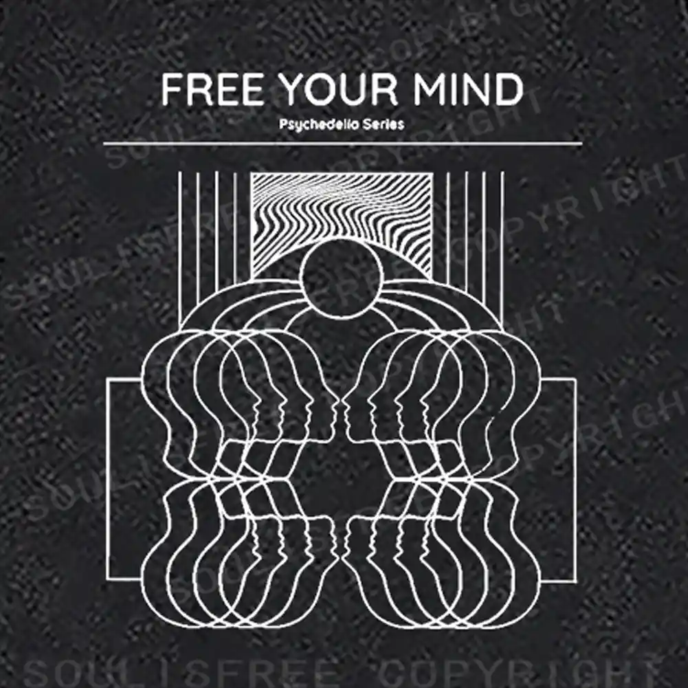 Inner Frequency Washed Sweatshirts
