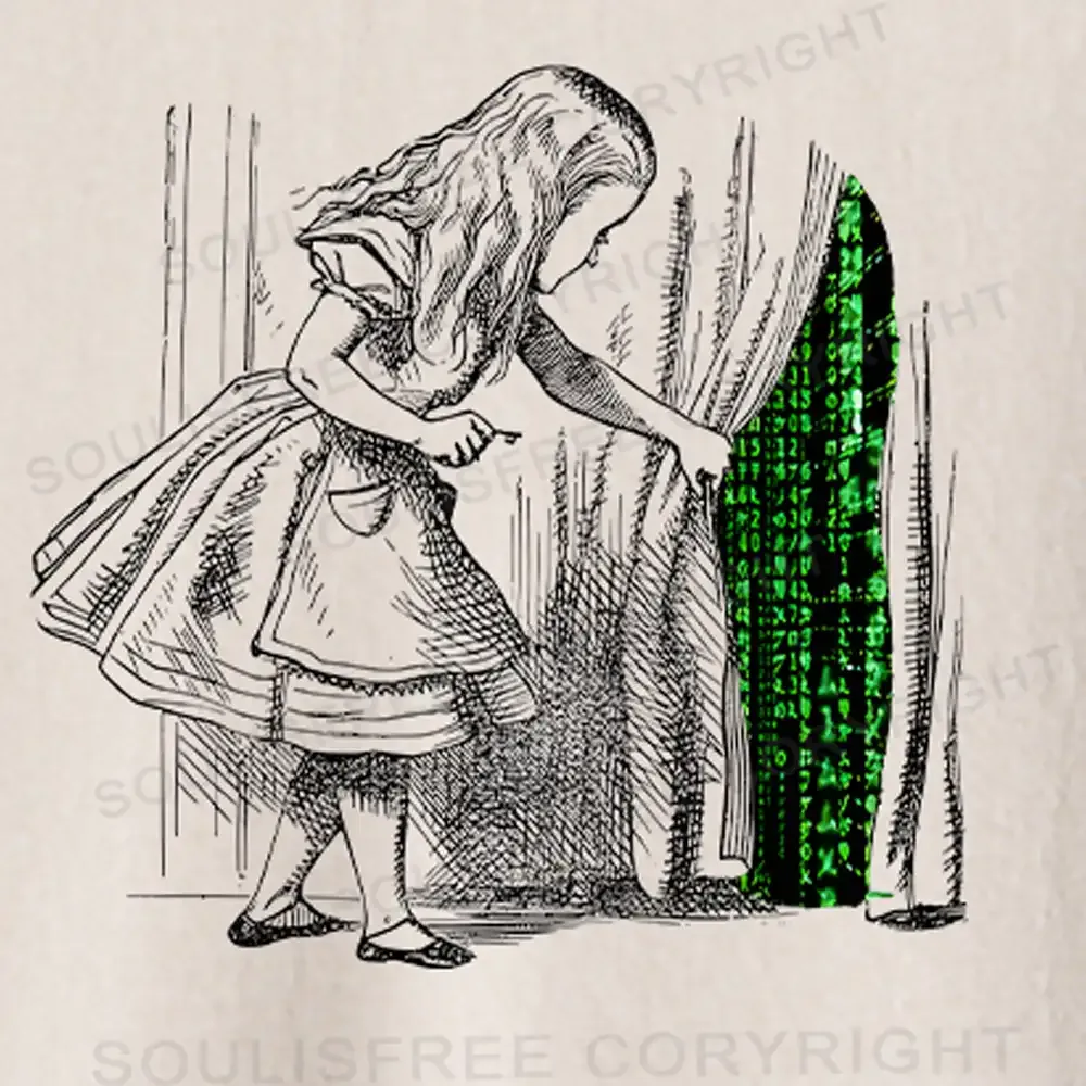 Wandering Into The Digital World Washed Crop T-shirt