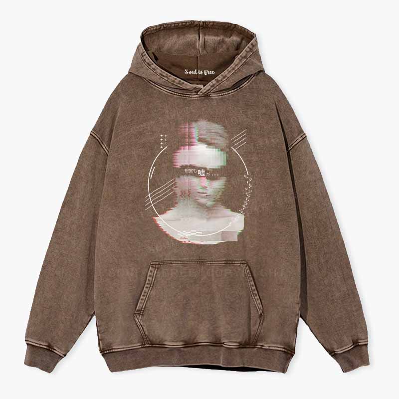 Soulisfree Reality Is Just A Lie Washed Hoodie