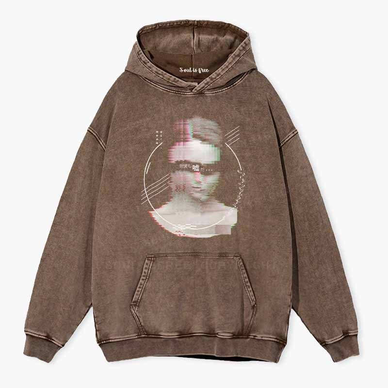 Soulisfree Reality Is Just A Lie Washed Hoodie