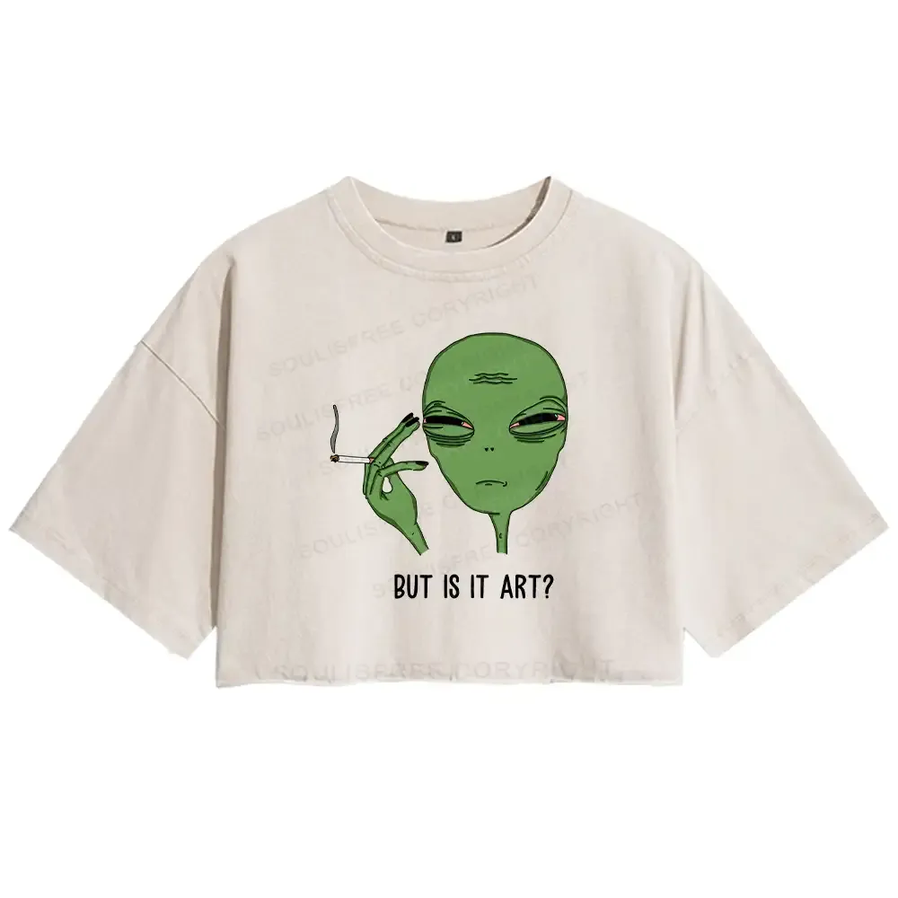 Designed Is It Art Washed Crop T-shirt