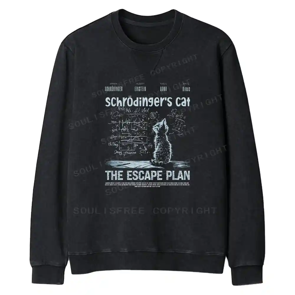 Careful Planning Fit Washed Sweatshirt