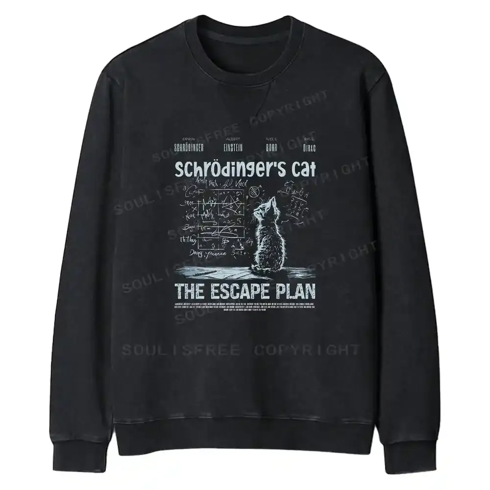 Careful Planning Fit Washed Sweatshirt