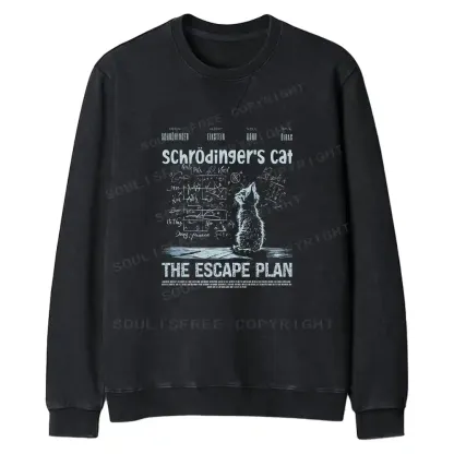 Careful Planning Fit Washed Sweatshirt