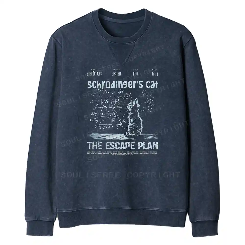 Careful Planning Fit Washed Sweatshirt