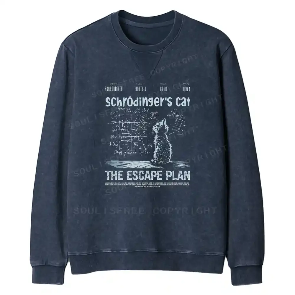 Careful Planning Fit Washed Sweatshirt