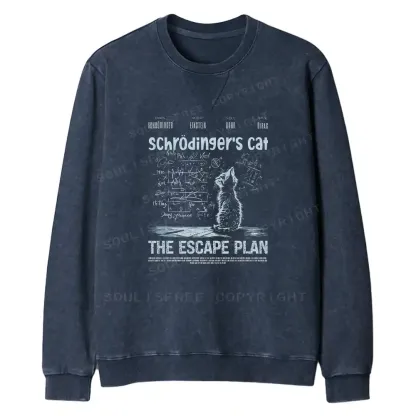 Careful Planning Fit Washed Sweatshirt