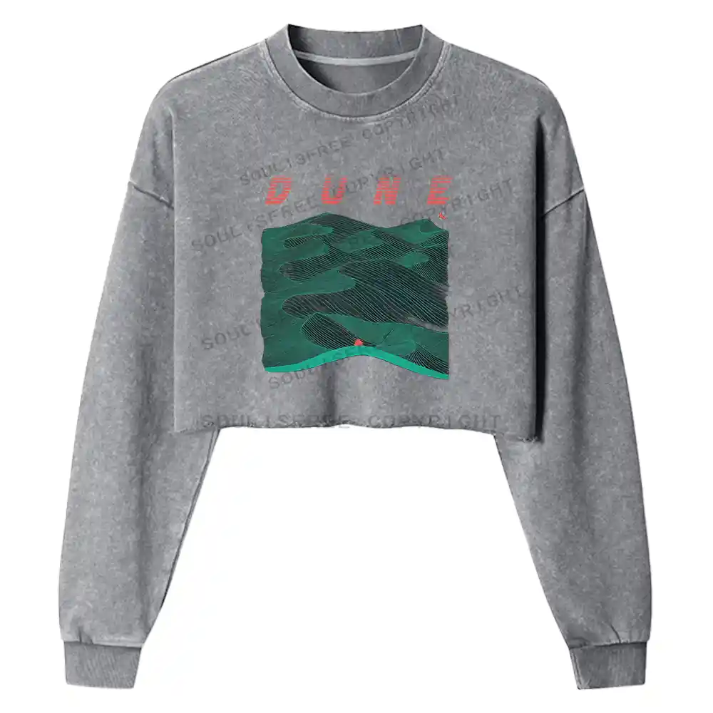 Sands Of Synchronicity Washed Cropped Sweatshirt