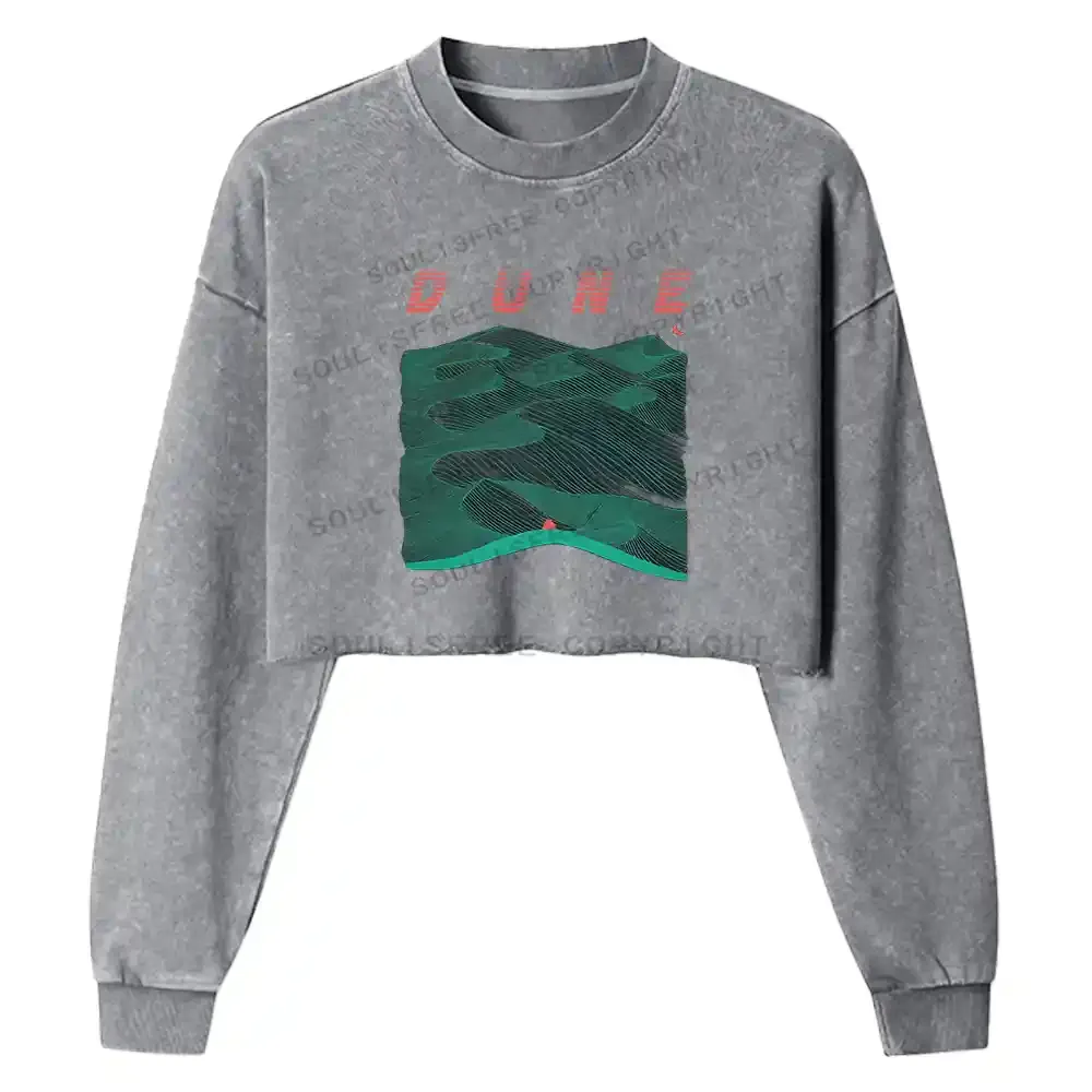 Sands Of Synchronicity Washed Cropped Sweatshirt