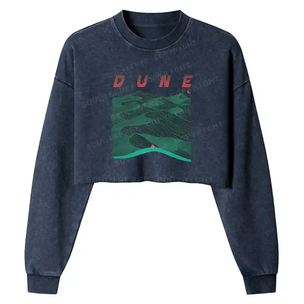 Sands Of Synchronicity Washed Cropped Sweatshirt