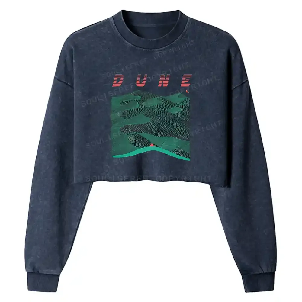 Sands Of Synchronicity Washed Cropped Sweatshirt