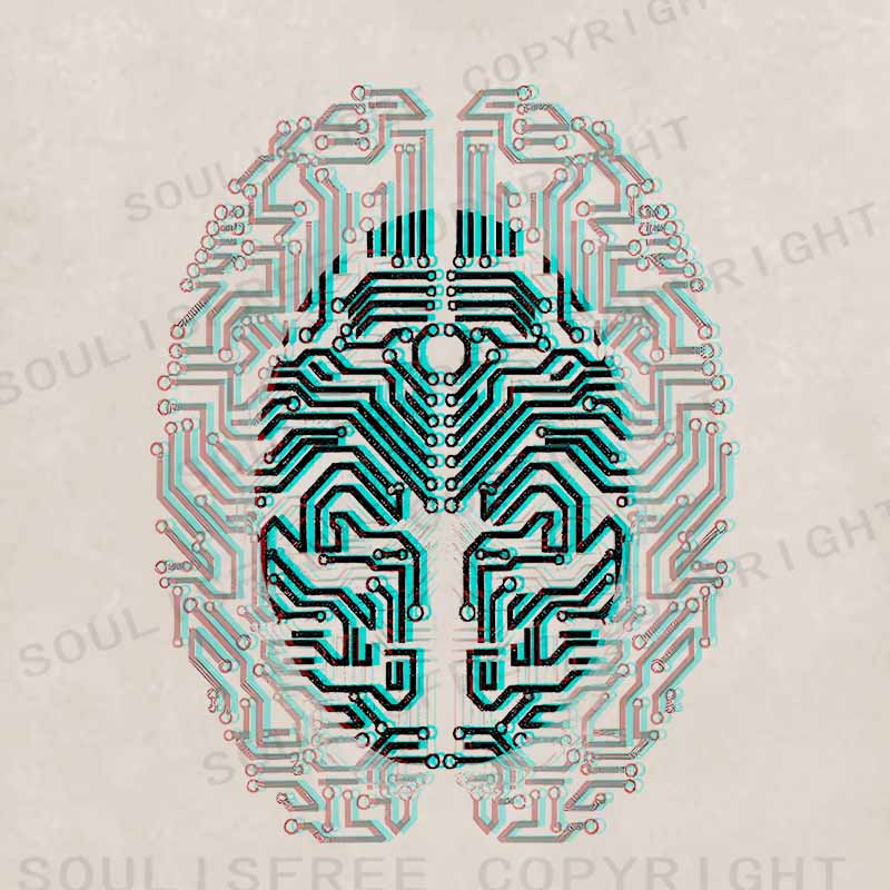 Soulisfree  Digital Neural Soul Washed Hoodie